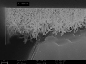 IPMash RAS scientists have created a new method for producing silicon carbide nanotubes